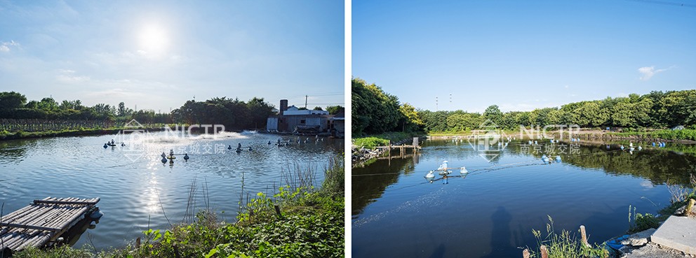 1702430008100066.jpg 05-1溫泉養(yǎng)魚(yú).jpg